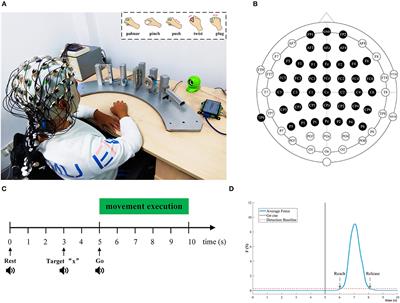 Decoding Different Reach-and-Grasp Movements Using Noninvasive Electroencephalogram